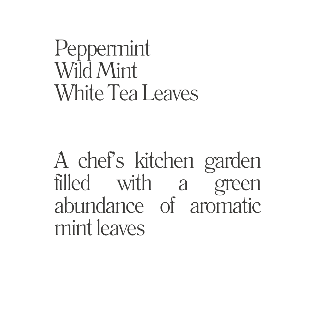 Wild Mint Candle Refill Kit 200g